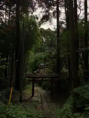 熊野大神(千葉県)