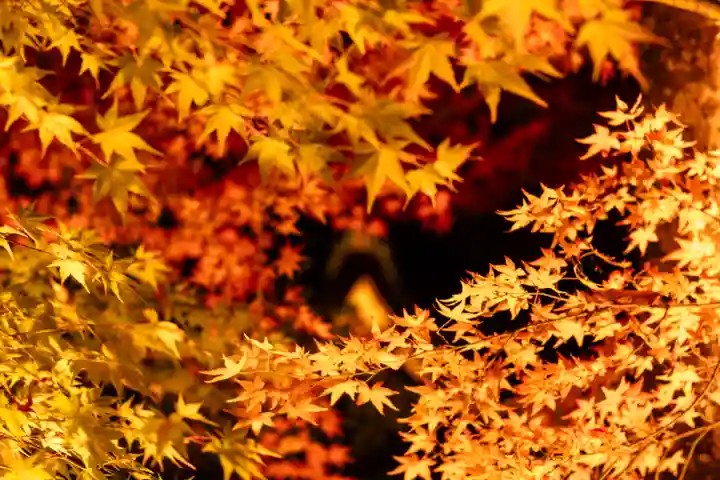 北野天満宮(京都府)