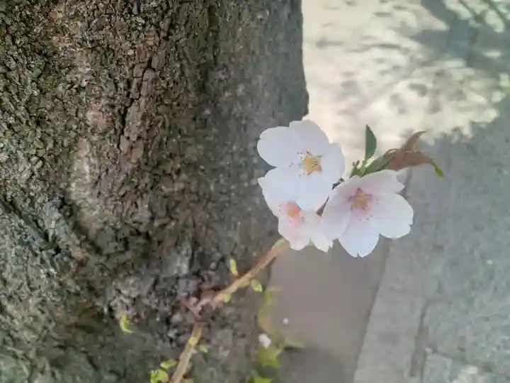 阿倍王子神社(大阪府)
