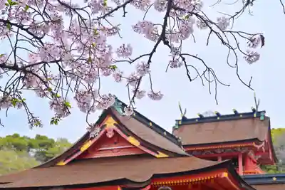 富士山本宮浅間大社(静岡県)