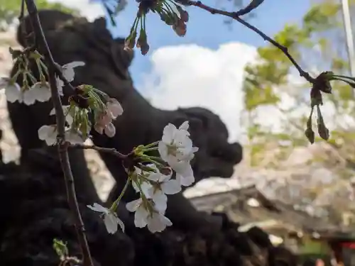 前原御嶽神社の自然