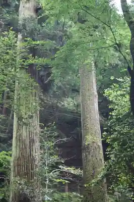貴船神社(京都府)