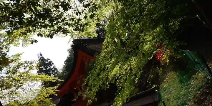 出雲大神宮のその他建物