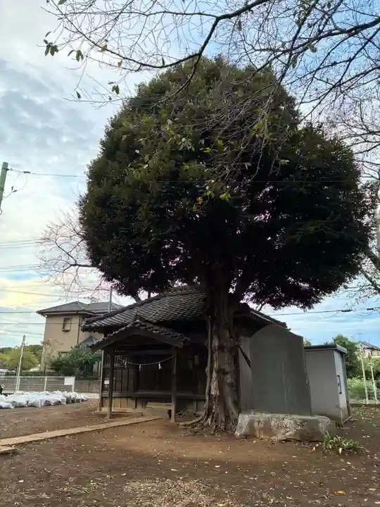 三社大神社(千葉県)