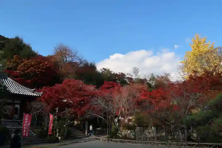 二尊院(京都府)