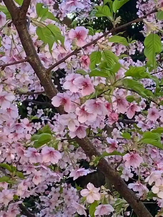 中山神社の{uncategorized: "未分類", other: "その他", undefined: "問題あり", building: "その他建物", grave: "お墓", sacred_gate: "鳥居", guardian: "狛犬", statue: "像", buddha: "仏像", history: "歴史", nature: "自然", garden: "庭園", animal: "動物", pagoda: "塔", temizu: "手水舎", mountain_gate: "山門・神門", sanctuary: "本殿・本堂", subordinate: "末社・摂社", art: "芸術", scenery: "景色", jizo: "地蔵", ema: "絵馬", goshuin: "御朱印", omikuji: "おみくじ", items: "授与品その他", amulet: "お守り", goshuincho: "御朱印帳", eats: "食事", festival: "お祭り", votive_dance: "神楽", shichigosan: "七五三参", wedding: "結婚式", experience: "体験その他", initially: "初詣", around: "周辺", anti_infection: "感染症対策"}