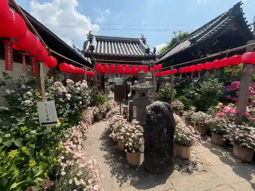 おふさ観音（観音寺）(奈良県)
