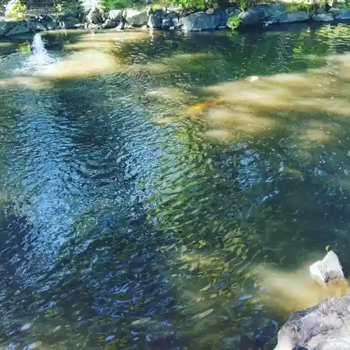 富岡八幡宮の庭園