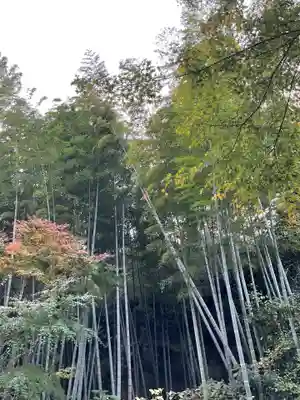 明月院(神奈川県)