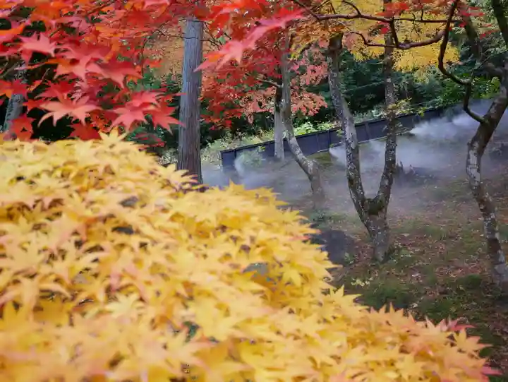 洞窟観音・徳明園・山徳記念館の景色