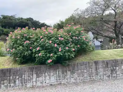東昌寺(神奈川県)