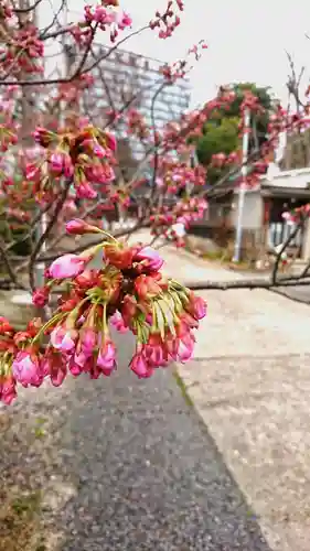 阿邪訶根神社の自然