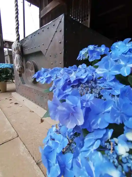 伏木香取神社の自然