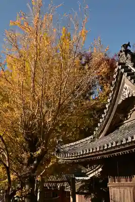 賀茂神社(愛媛県)