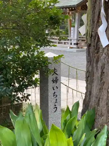 亀ケ池八幡宮のその他建物