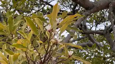 荒神社(徳島県)