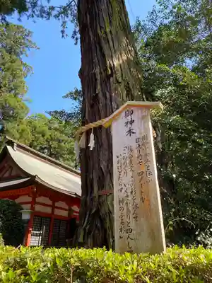 香取神宮の歴史