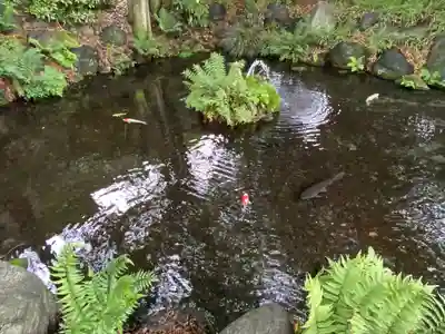 秩父今宮神社(埼玉県)