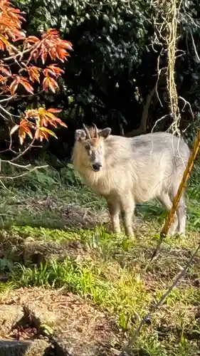宝珠山 立石寺(山形県)