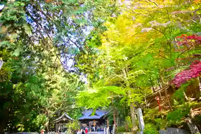 新倉富士浅間神社(山梨県)