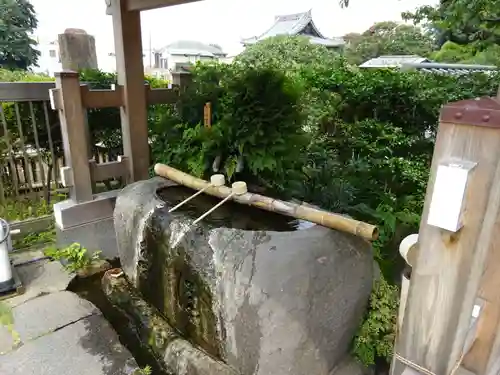 妙蓮寺の手水舎