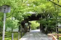 禅林寺(永観堂)の山門・神門