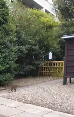 白金氷川神社(東京都)