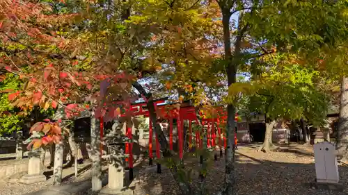 豊国神社(京都府)