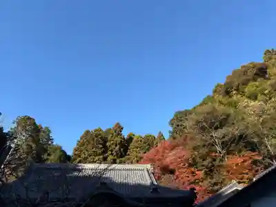 財賀寺(愛知県)