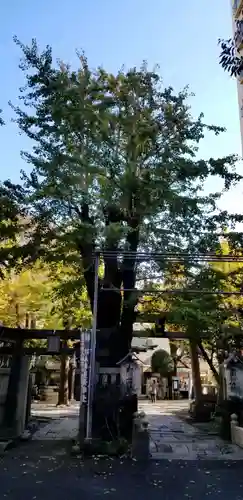 小野照崎神社の自然