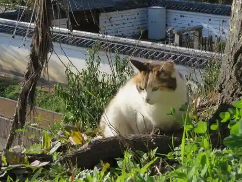 熊野若王子神社(京都府)