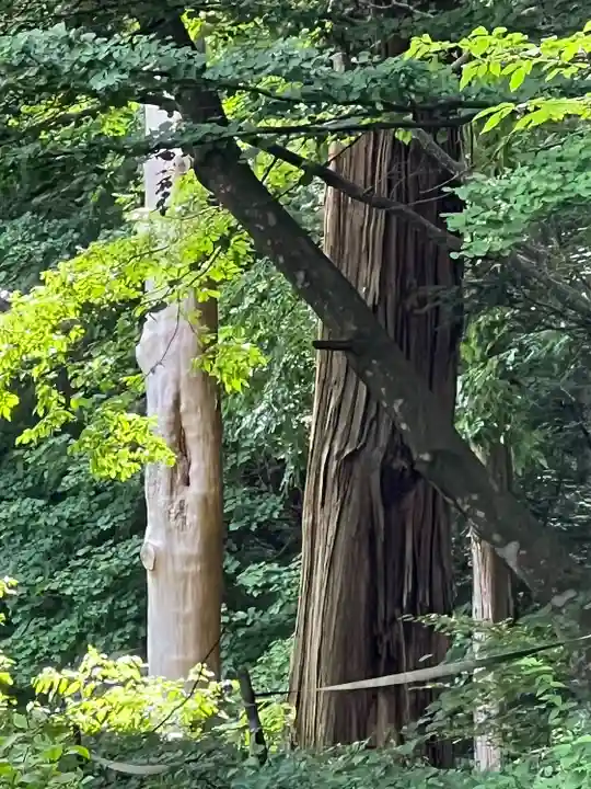 諏訪大社(長野県)