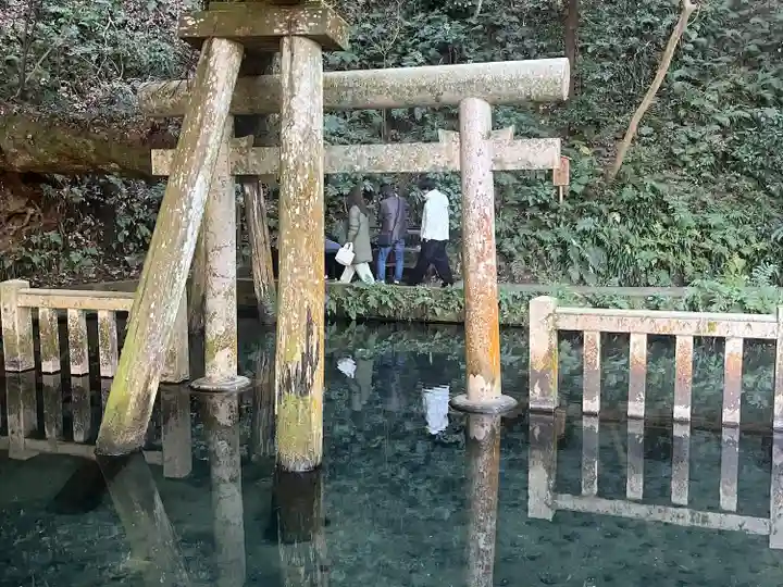 鹿島神宮(茨城県)