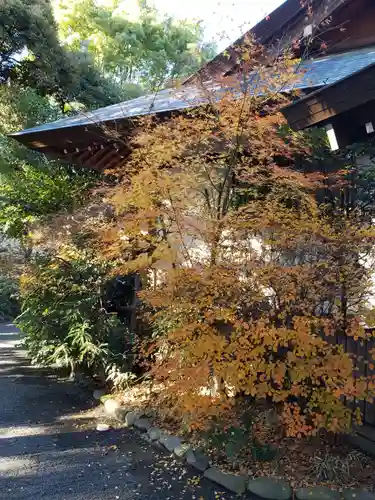阿佐ヶ谷神明宮の自然