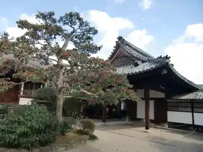 中宮寺(奈良県)