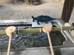 八坂神社の手水