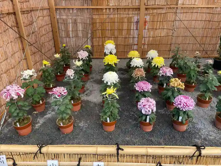 本願寺(西本願寺)(京都府)