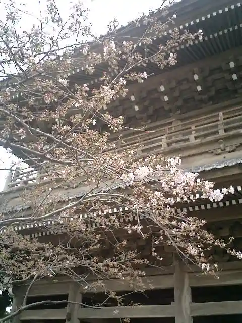 光明寺(神奈川県)