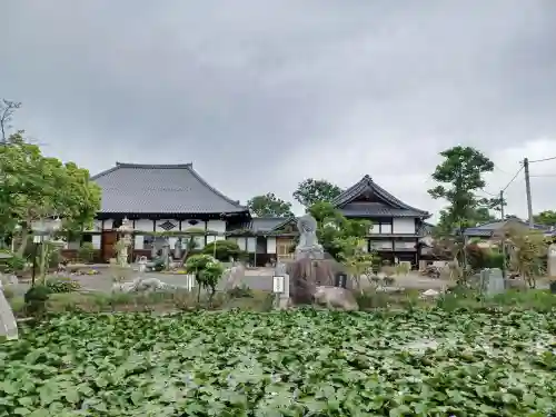 善長寺(埼玉県)