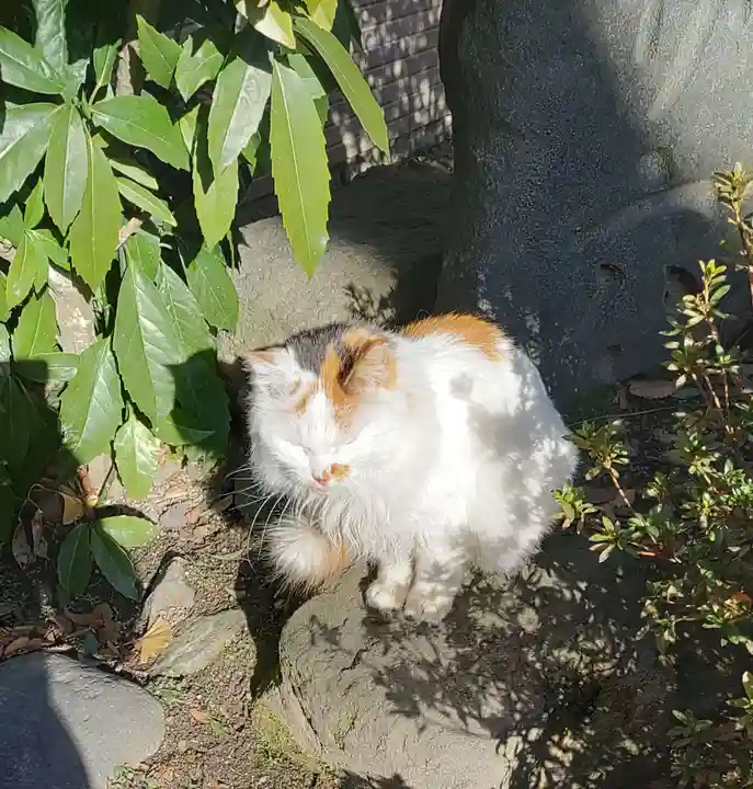 阿邪訶根神社(福島県)