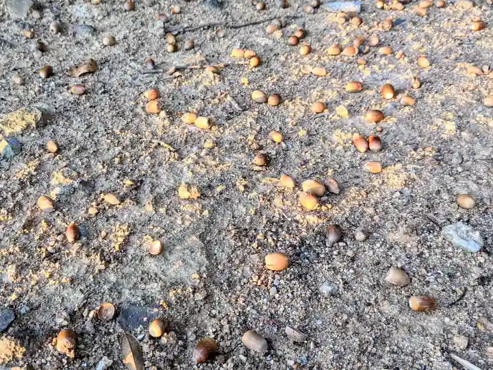 八栗荒神社(香川県)
