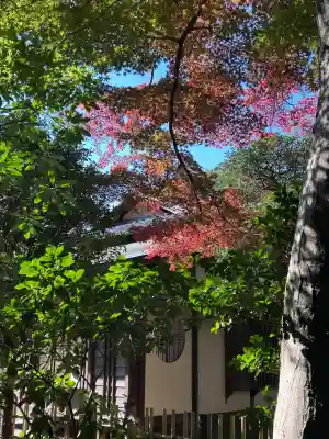 明治神宮(東京都)