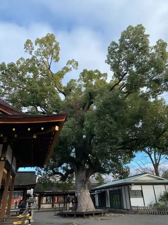 平野神社(京都府)