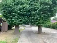 妙福寺(千葉県)