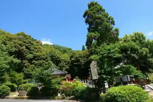 安倍文殊院 の庭園