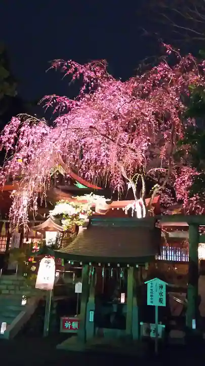 子安神社の自然