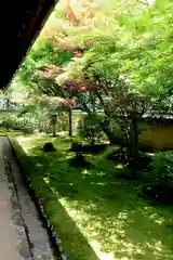 興臨院(京都府)