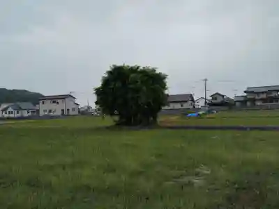 妙玄寺の歴史