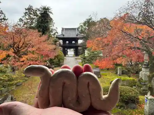 伊勢の国 四天王寺(三重県)