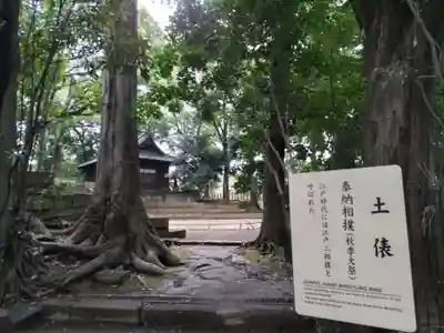 世田谷八幡宮(東京都)